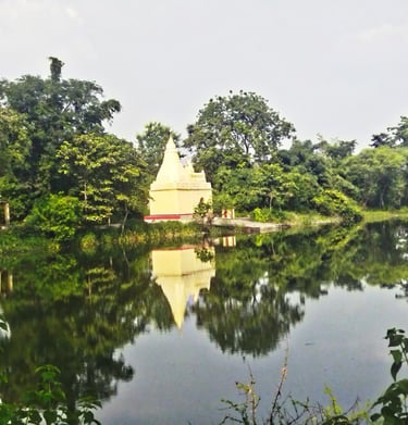 pond