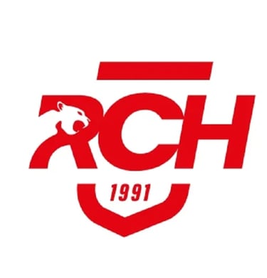 Reims Champagne Handball Nationale Féminine