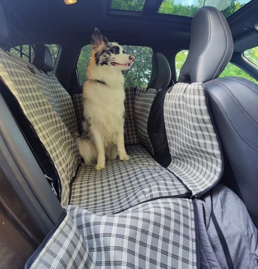 Sėdynių užtiesalai, čiužiniai šunims gera kaina internetu