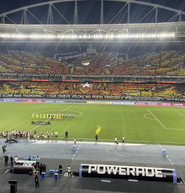 Mosaico com Temática fenix no Jogo de ida da L,ibertadores contra o Palmeiras nas oitavas 