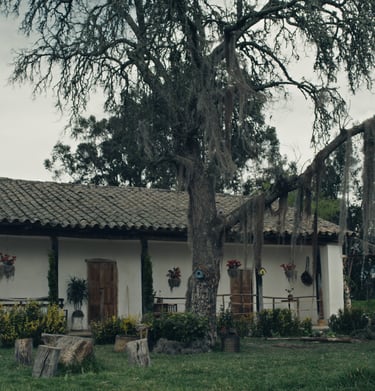 NUBES GRISES SOPLAN SOBRE EL CAMPO VERDE -2023- CHIRIMOYA FILMS