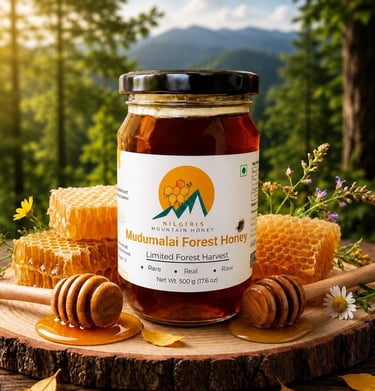 Jar of Mudumalai Forest Honey with honeycombs and wooden dippers on a wood slab in a sunny forest setting.