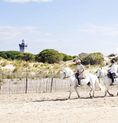 Le phare de l'Espiguette