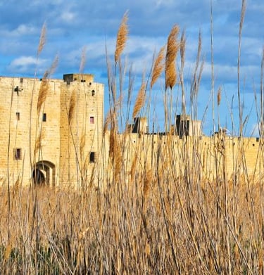 Les Remparts de Aigues Mortes