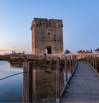 La Tour Carbonnière Aigues Mortes