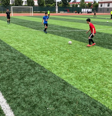 Close-up of a football resting on the lush green turf, ready for a match.
