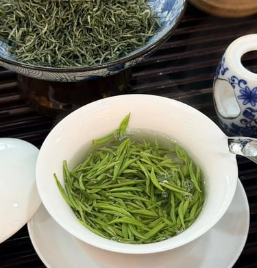 Xinyang Maojian green tea leaves