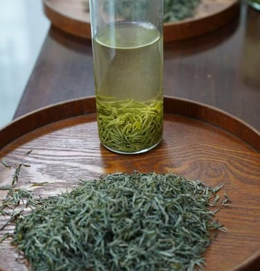 Xinyang Maojian green tea leaves