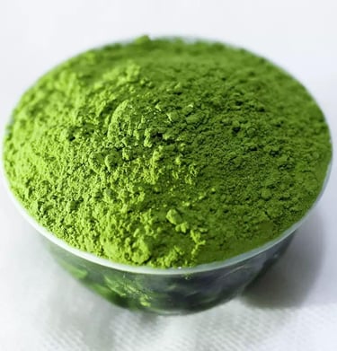 Xinyang Maojian green tea leaves
