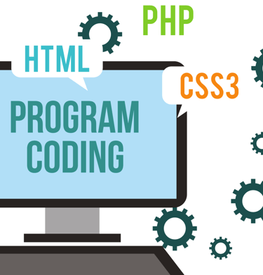 custom coding services by softologics