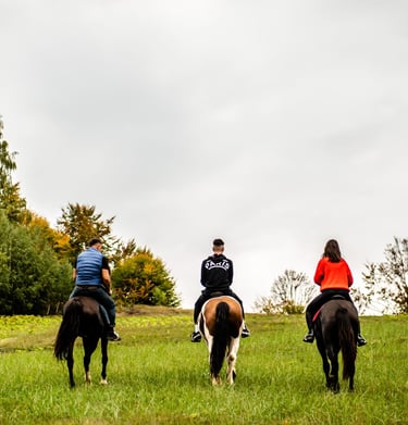 turisti calare pe cai