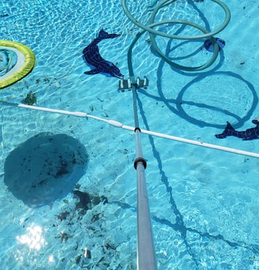 78209 san antonio Texas swimming pool cleaning service