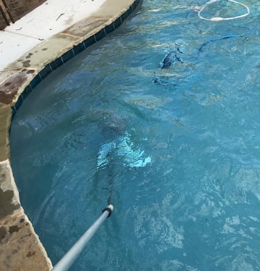 78023 Hill Country Texas swimming pool cleaning service