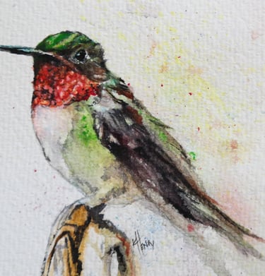a ruby-throated hummingbird sitting on a branch