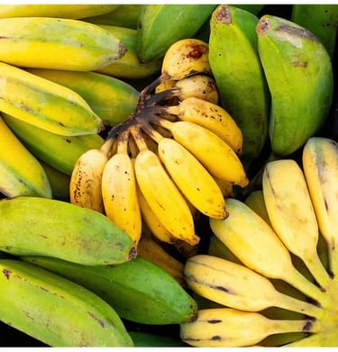 Ingredient principal de fabrication de notre vin alcoolique and non-alcoolique, la banane