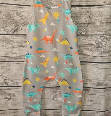 a baby's dinosaur print romper 