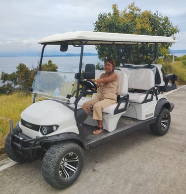 6-seater elecric golfcart for rent at Villa Bor a Mar