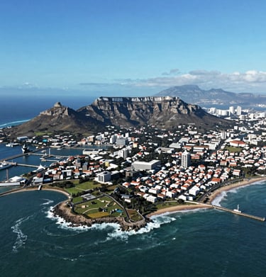 A close-up of a lion resting in tall golden grass under bright daylight.