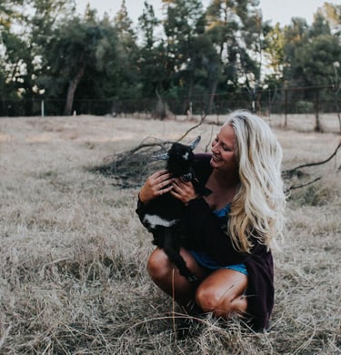 a woman in a blue dress is holding a black baby goat