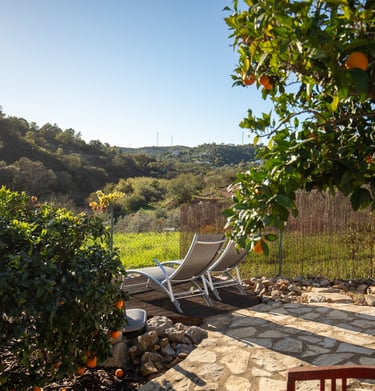 a chair and a chair in a garden