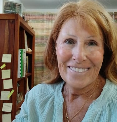 Jill Dubler one of the volunteers who catalogs the books for Biblioteca San Benito