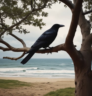 Sunlight filtering through sheer curtains onto a table set for energetic guidance.