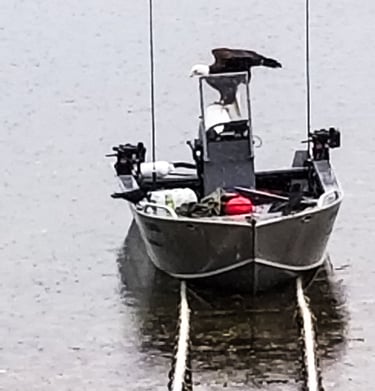 A bald eagle perched on a small fishing boat parked on a launch ramp near a body of water.