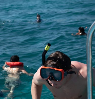 Snorkeling Saona Island