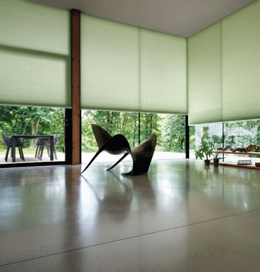 Project Submission Blinds
