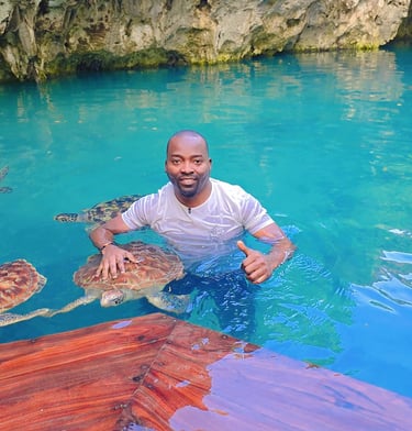 Explore Zanzibar’s marine life and interact with sea turtles for an unforgettable adventure
