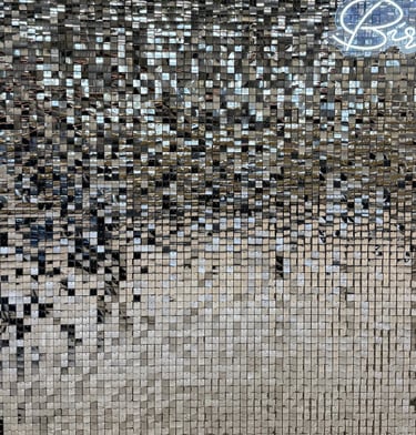 Blizgi sidabrinė foto siena, gyva foto siena, veidrodinė foto siena, foto sienos nuoma vilnius, foto