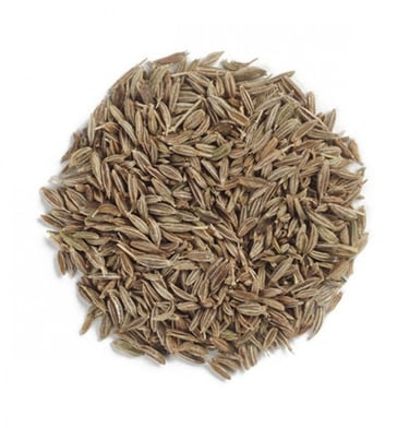 cumin seeds trader