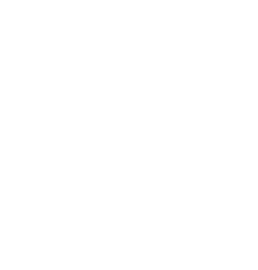 a house with a house shaped like a house