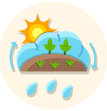 Résilience agricole