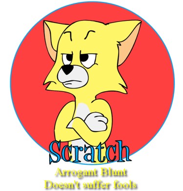 Scratch no nonsense cat