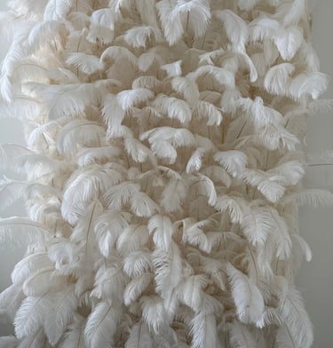 Plunksnų foto siena, plunksnų foto sienelė, foto siena gimtadieniui, isskirtine foto siena