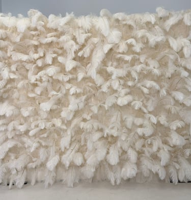 Plunksnų foto siena, plunksnų foto sienelė, foto siena gimtadieniui, isskirtine foto siena