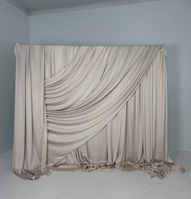 Audinio foto siena, audinio foto sienele, kremines medzigaos sienele, isskirtine foto siena vilniuje