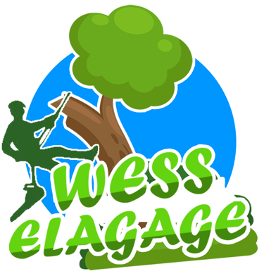 logo_wesselagage_royan