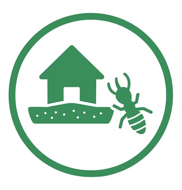 termite around the outside perimeter of a home