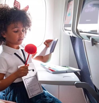 Safety of Air Travel by Unaccompanied Minors  (Children Traveling Alone by Air)