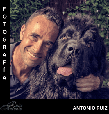 Sierra Blanca  a través de los ojos de RUIZ ANTONIO