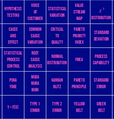 Lean Six Sigma skills matrix