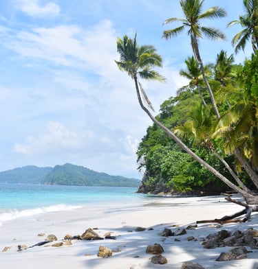 Santa Teresa Costa Rica, Curu reserve