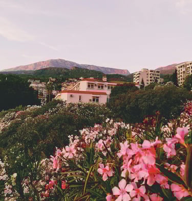 hegyi település virágos mezővel