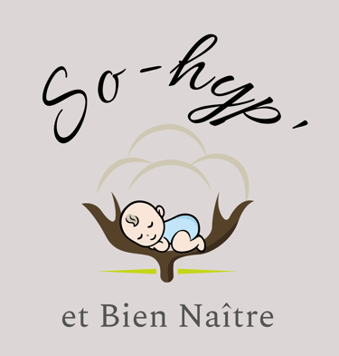 Logo, So-hyp' et Bien Naître, Dugay Emilie EI