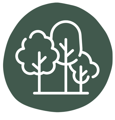 Icon: Park – abwechslungsreiche Trainingsorte in der Natur