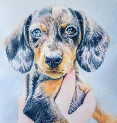 Dog Pet Portrait