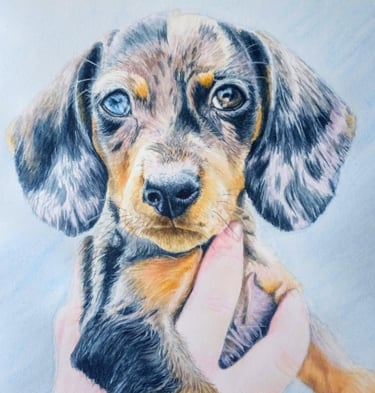 photo of a pet portrait