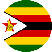 Zimbabwe coup